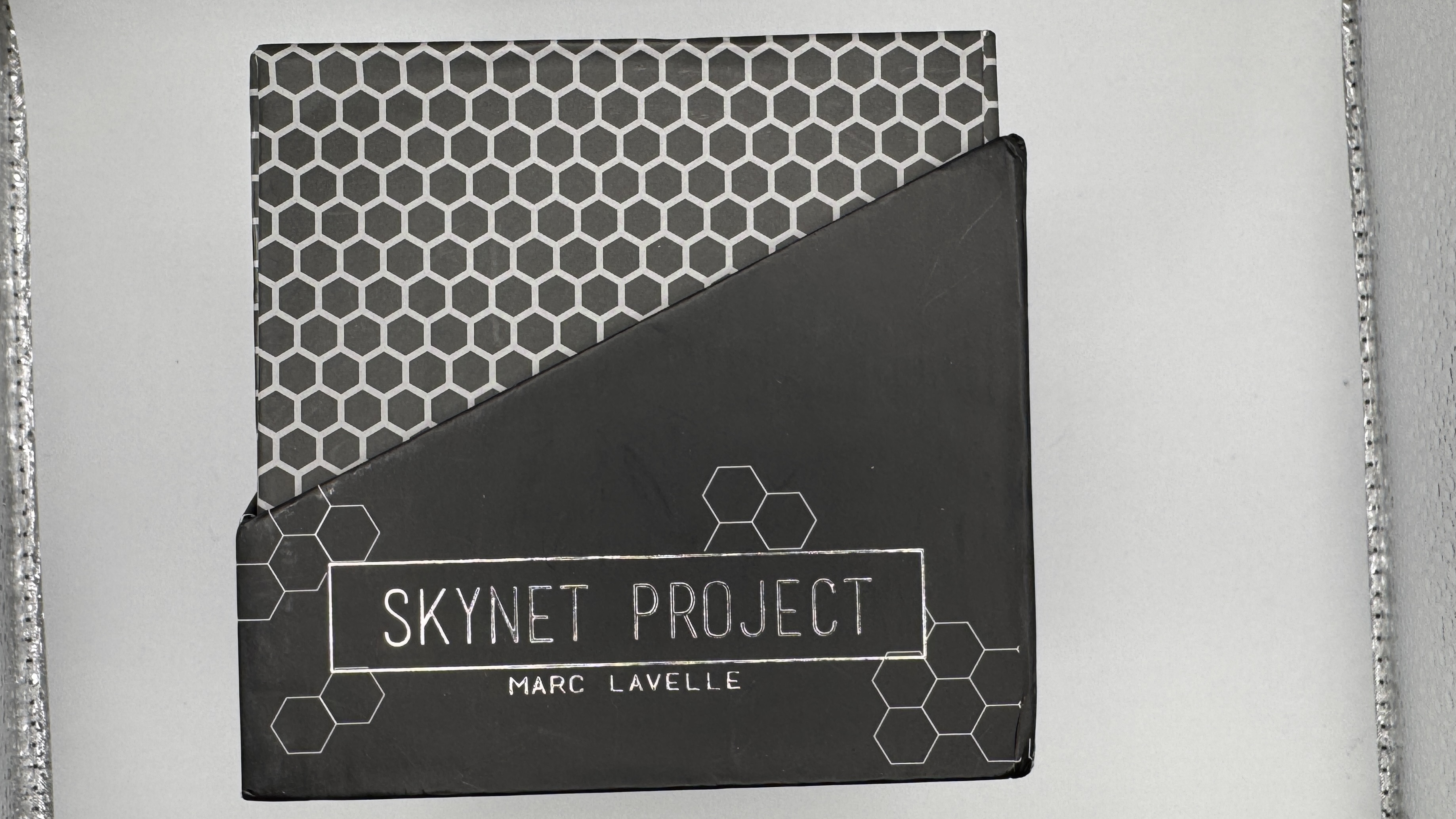 Skynet Project  by Marc Lavelle (open box)